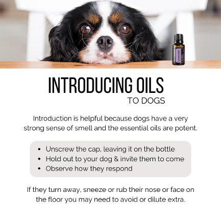 doterra dogs pdf