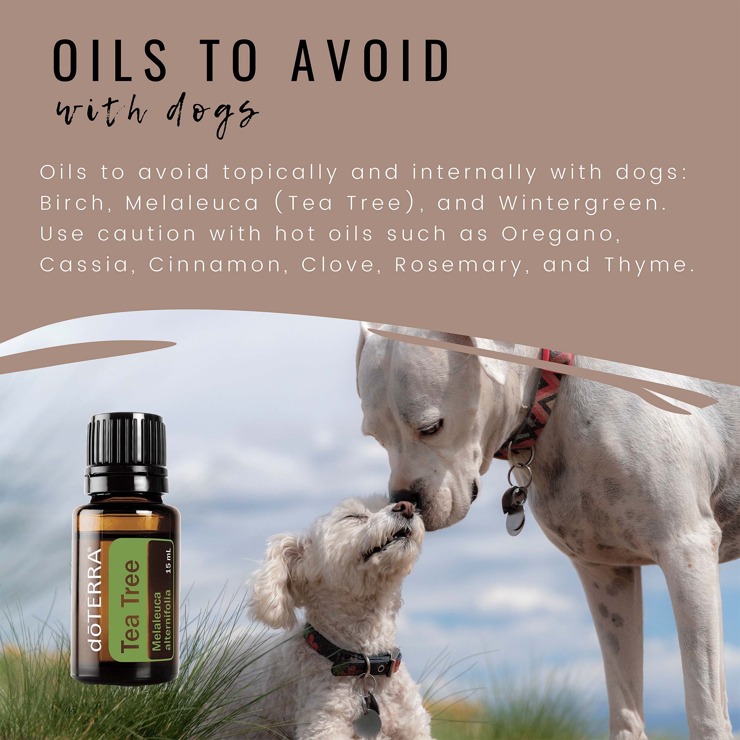 Doterra shop dogs pdf